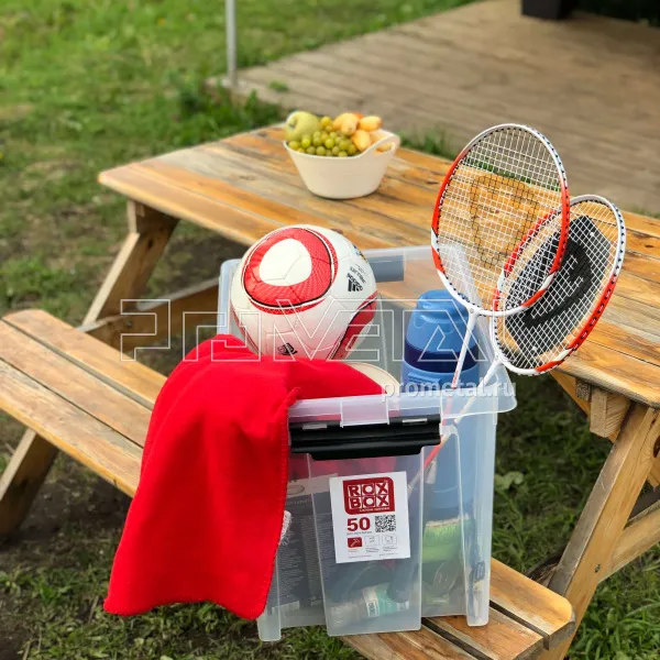 Контейнер 50 л на колёсиках с крышкой, прозрачный, Rox Box